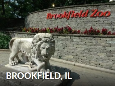 Brookfield Il Real Estate Rory